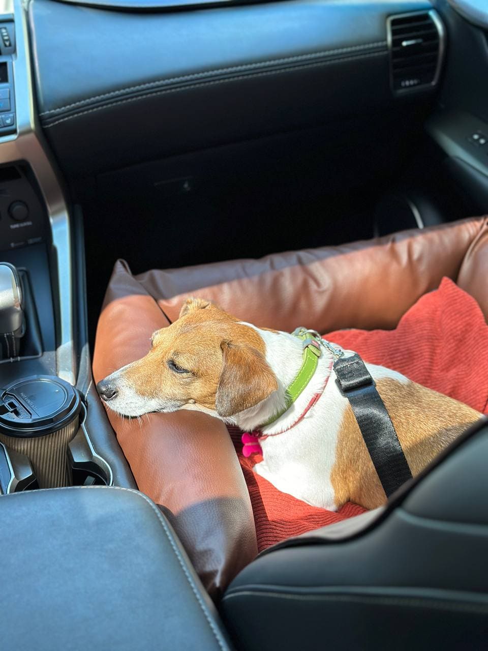 Car Dog Seat "Shony"