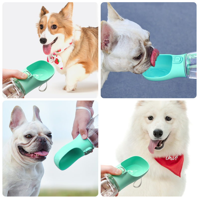 4Paws™ Portable Food and Water Container For Dog